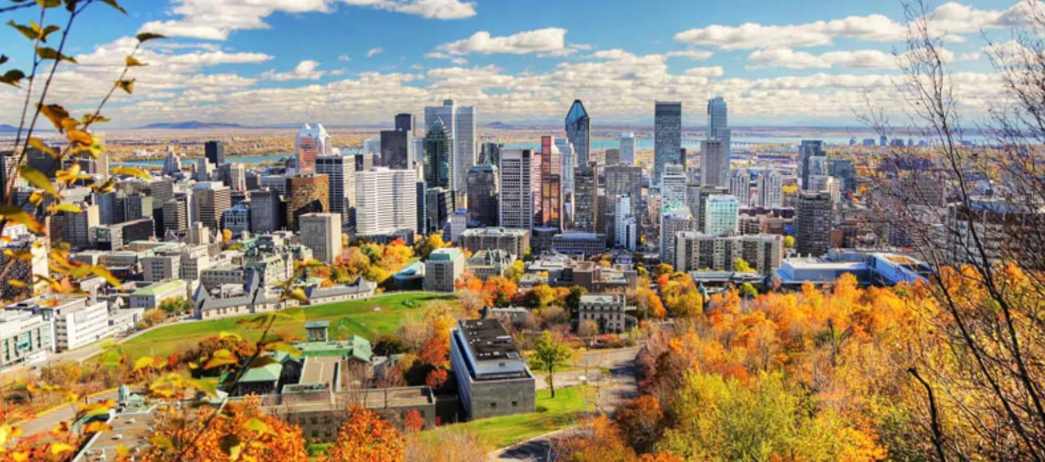 Montréal, ville d'acupuncture