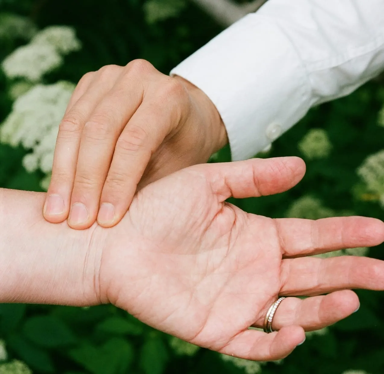 Une main offerte, paume ouverte, au-dessus d’ombelles blanches
